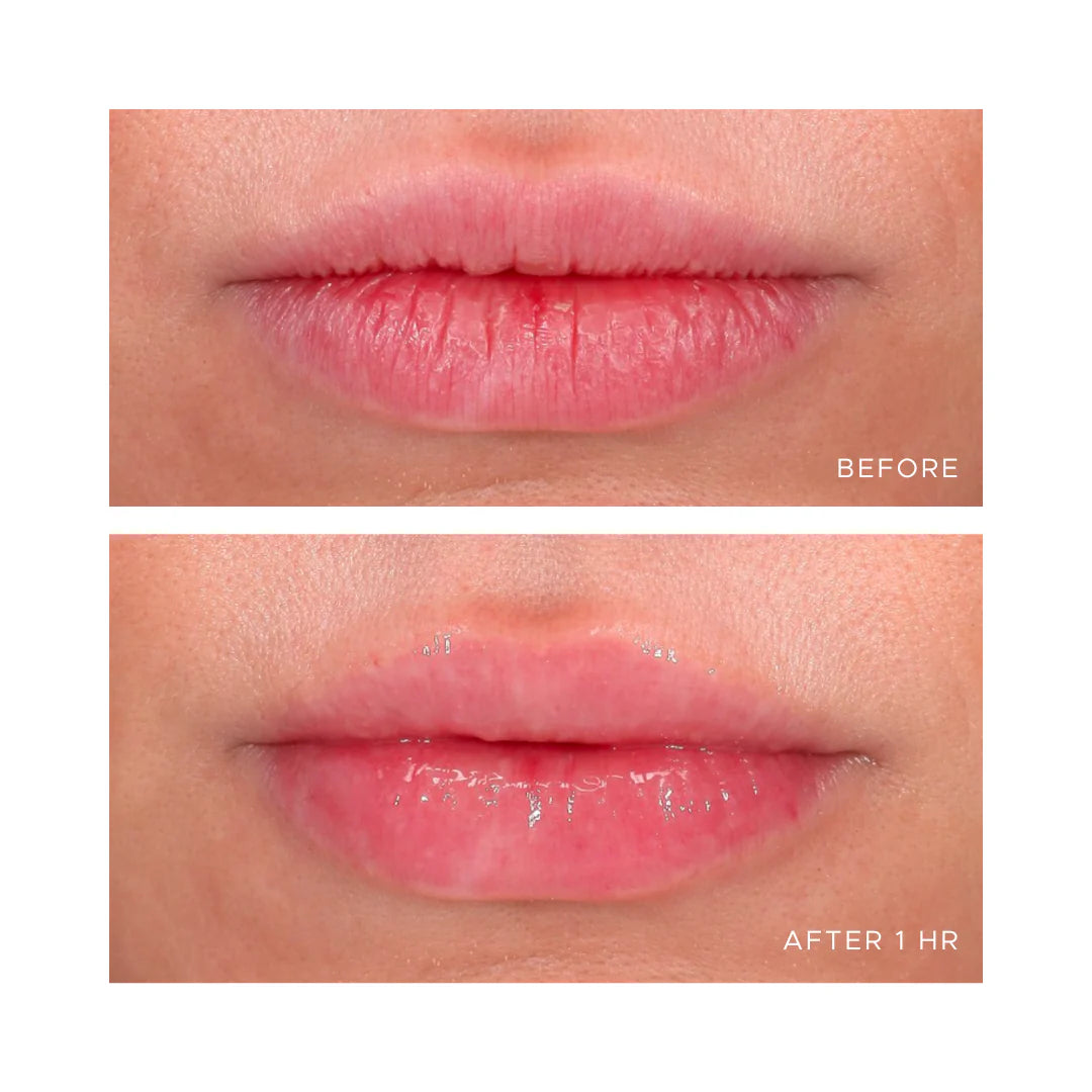 ÂN-GLOSS Ceramide Lip Treatment