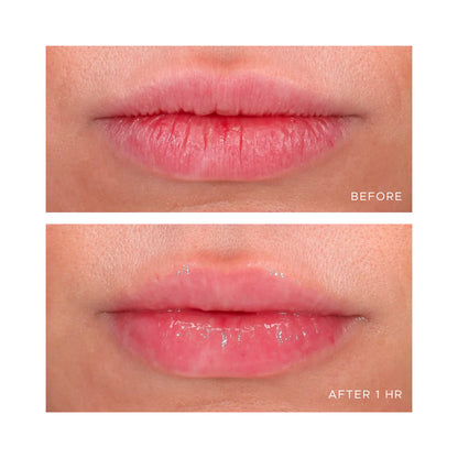 ÂN-GLOSS Ceramide Lip Treatment